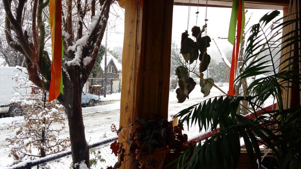 Carpe Diem San Martin de los Andes